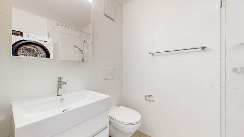 Charmante 2.5 Zimmer Dachwohnung mit Cheminée (3)