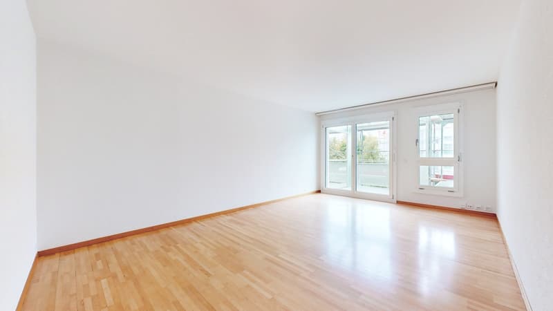Frisch renovierte 2-Zimmerwohnung zu vermieten (2)