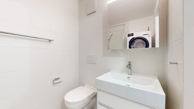 Frisch renovierte 2-Zimmerwohnung zu vermieten (4)