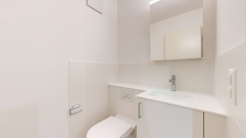 Frisch renovierte 2-Zimmerwohnung zu vermieten (5)