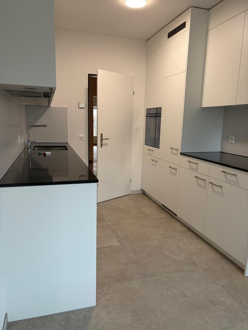 Charming 2.5 room garden apartment (3)