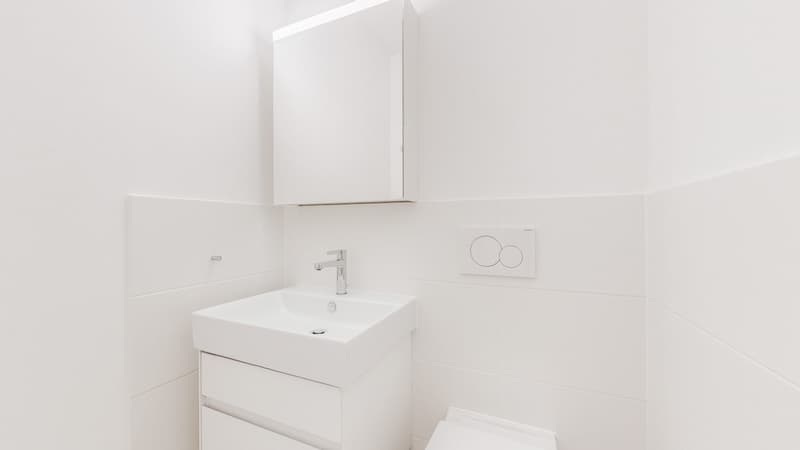 Attractive and bright 4.5 room corner apartment (5)