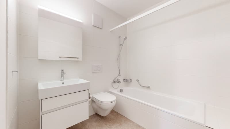 Attractive and bright 4.5 room corner apartment (6)