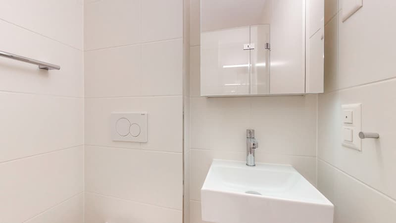 4 Camere Maisonette, 8055 Zurigo (5)
