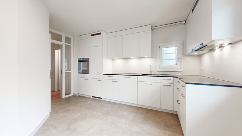4 Camere Maisonette, 8055 Zurigo (2)