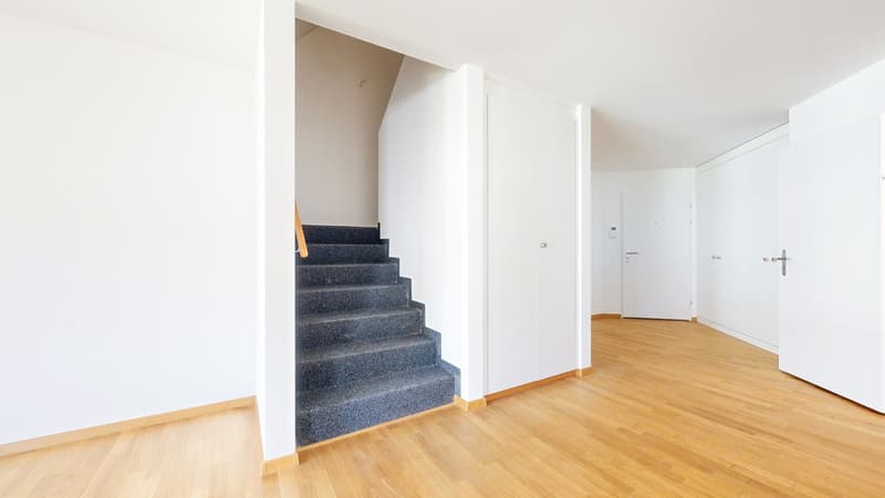 4 Camere Maisonette, 8055 Zurigo (6)