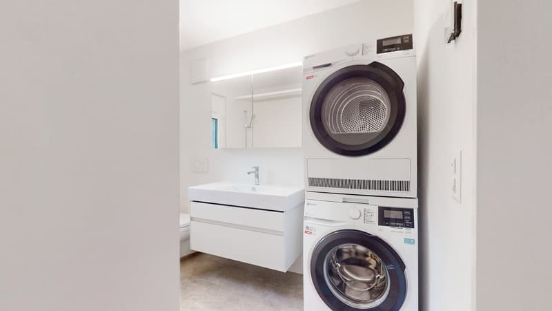 4 Camere Maisonette, 8055 Zurigo (4)