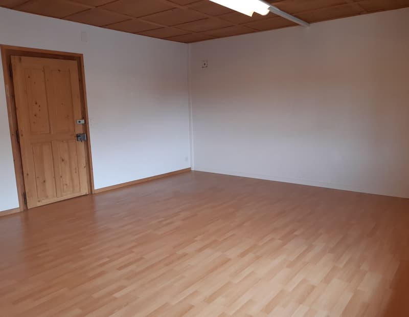 Büro/Praxisraum 31 m2 (2)