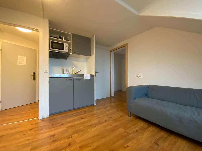 1.5 Zimmer Wohnung in Hottingen (2)