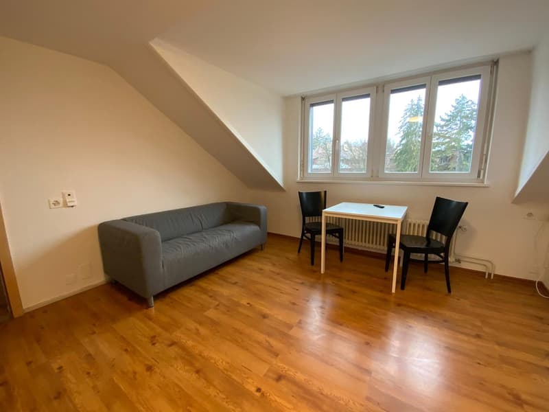 1.5 Zimmer Wohnung in Hottingen (1)