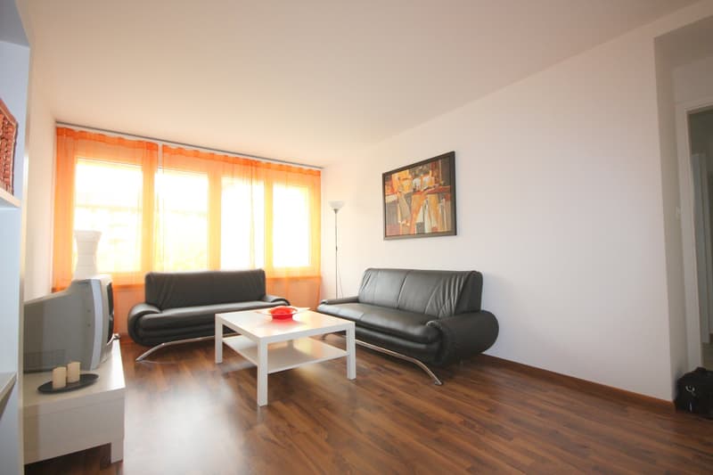 4 Zimmer Apartment in Oerlikon (1)