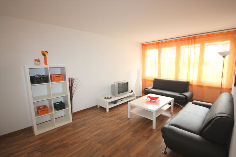 4 Zimmer Apartment in Oerlikon (2)
