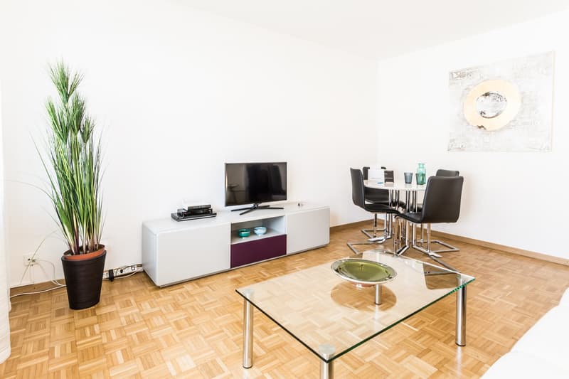 Modern Apartment – Zurich Oerlikon (2)
