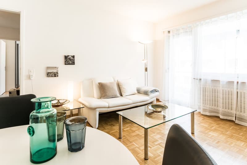 Modern Apartment – Zurich Oerlikon (1)