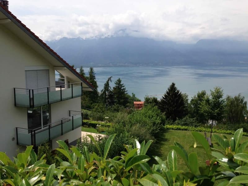For rent: large sunny furnished appartement  with a beautiful lake view, near Montreux (2)