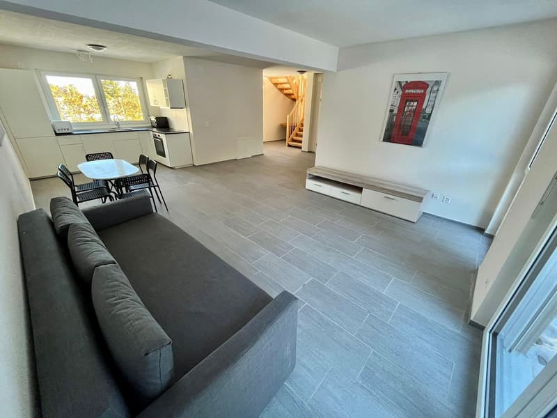 For rent: Modern partly furnished house in Saint-Cergue (1)