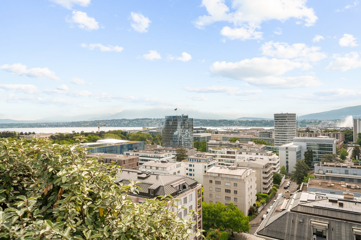 cityscape with high-rise buildings, a river, and mountains in the distance