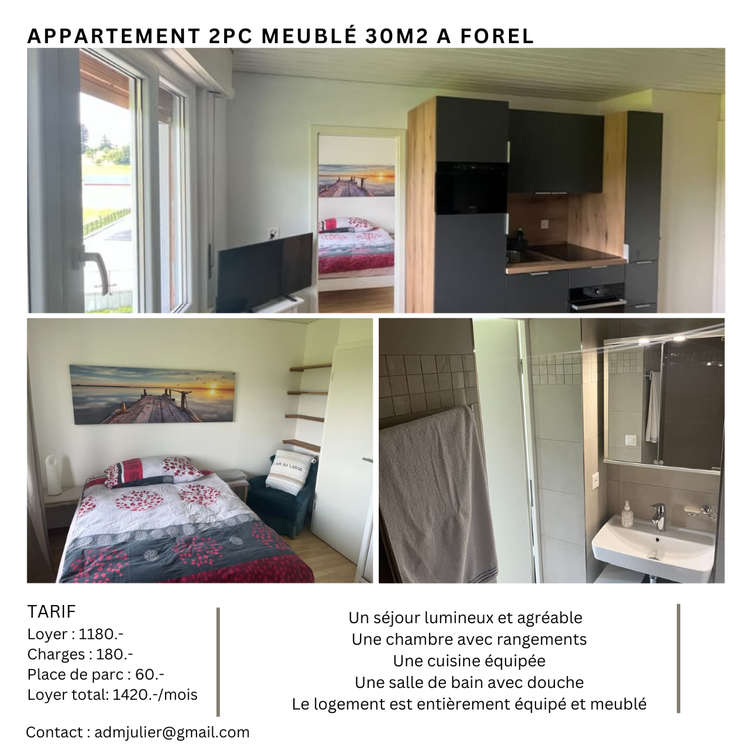 One bedroom, equipped kitchen, bathroom with shower, furnished, entire rental for 1420,-