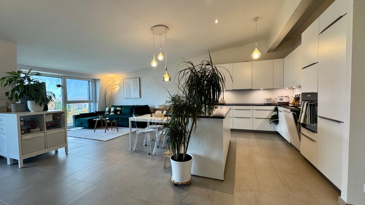 Open plan living and dining area with kitchen, large windows, couch, modern design, potted plants