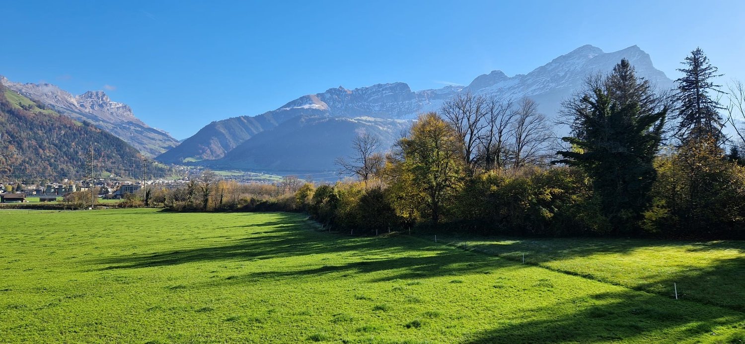 Open green field with trees, bushes and mountains in the background.