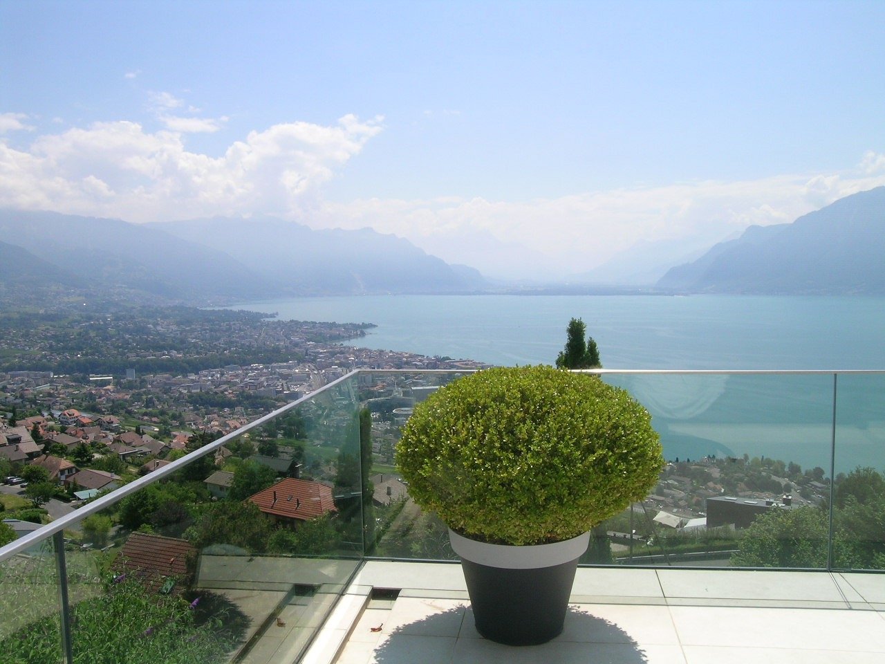 The image shows a panoramic view of a lakeside town surrounded by mountains. In the foreground, there is a potted plant with a spherical green foliage. The town can be seen in the distance, with buildings and a body of water, likely a lake, stretching out