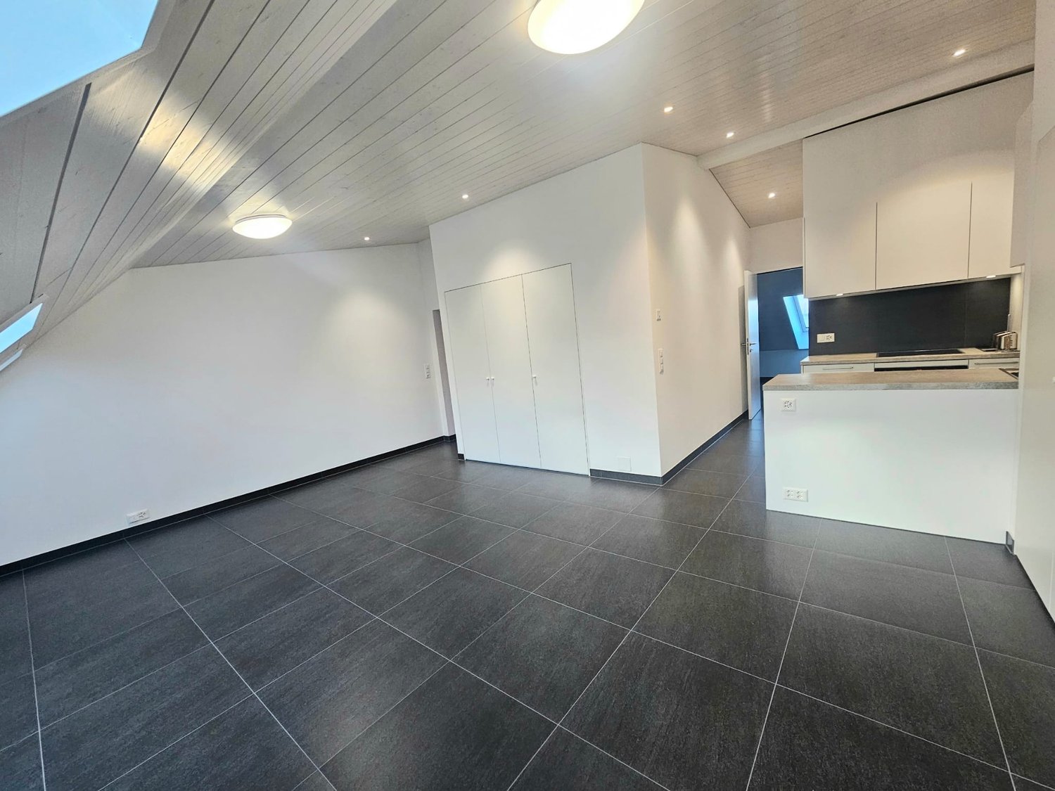 Empty room with white walls, black tiled floor, white ceiling, two doors, kitchen area with countertop and cabinets