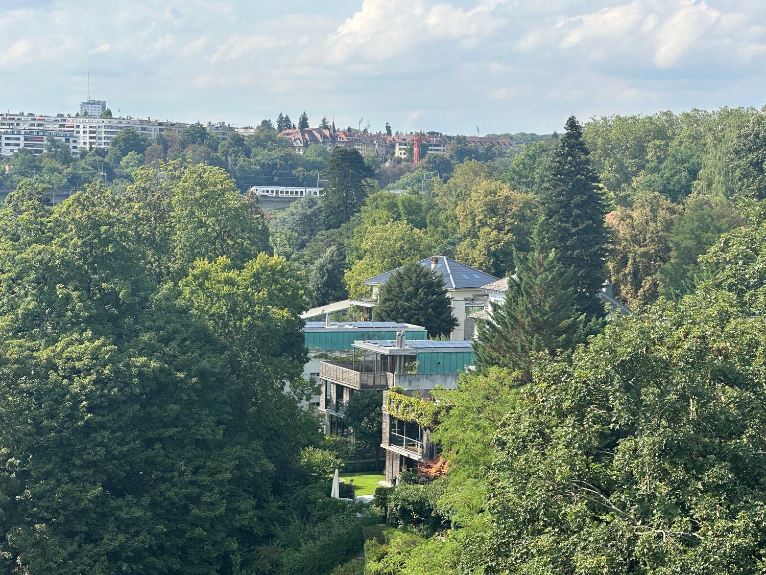 Houses with solar panels nestled between trees, a green grassy area in front