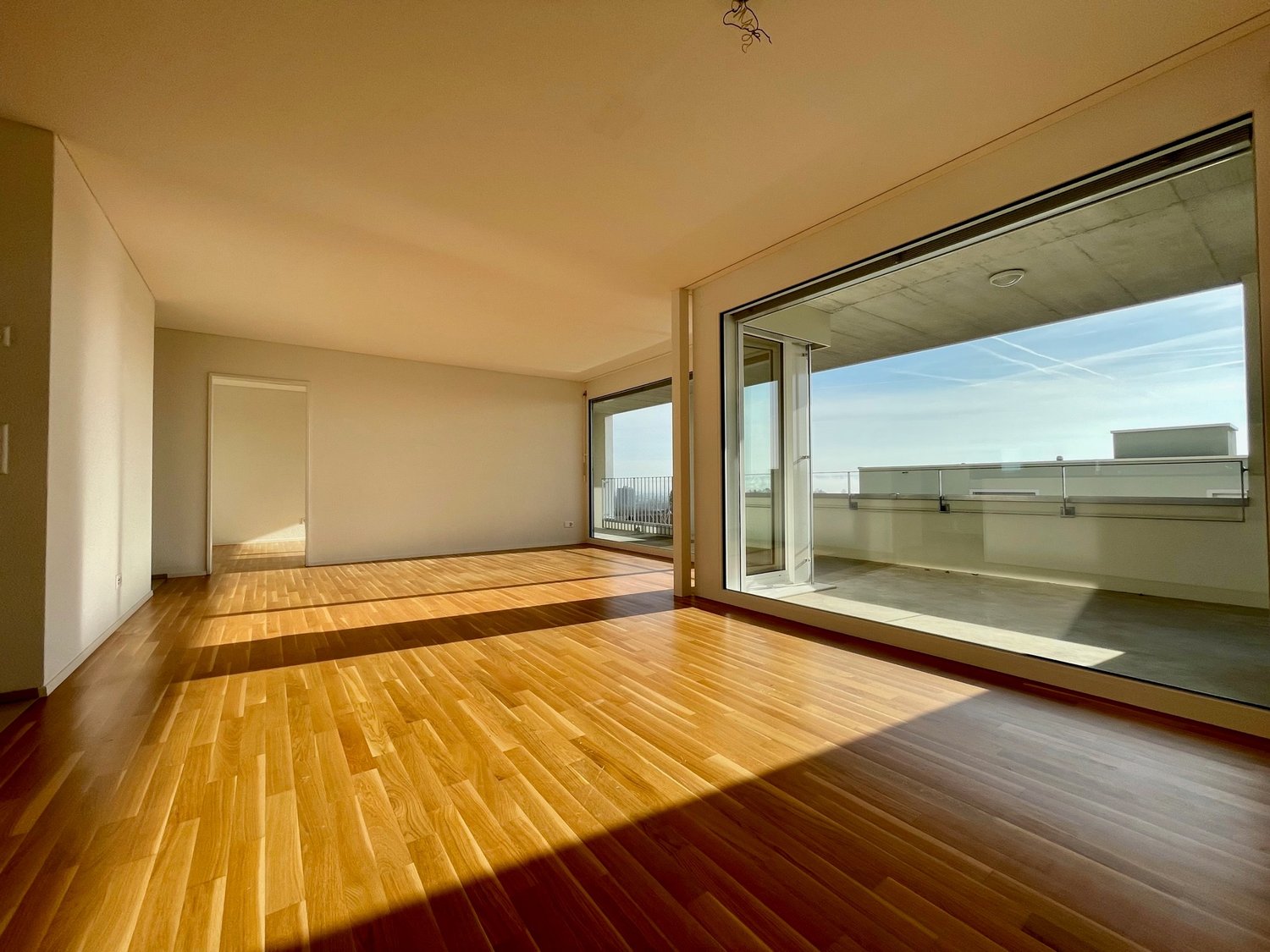 spacious living area, large windows, hardwood floor, balcony, bright light