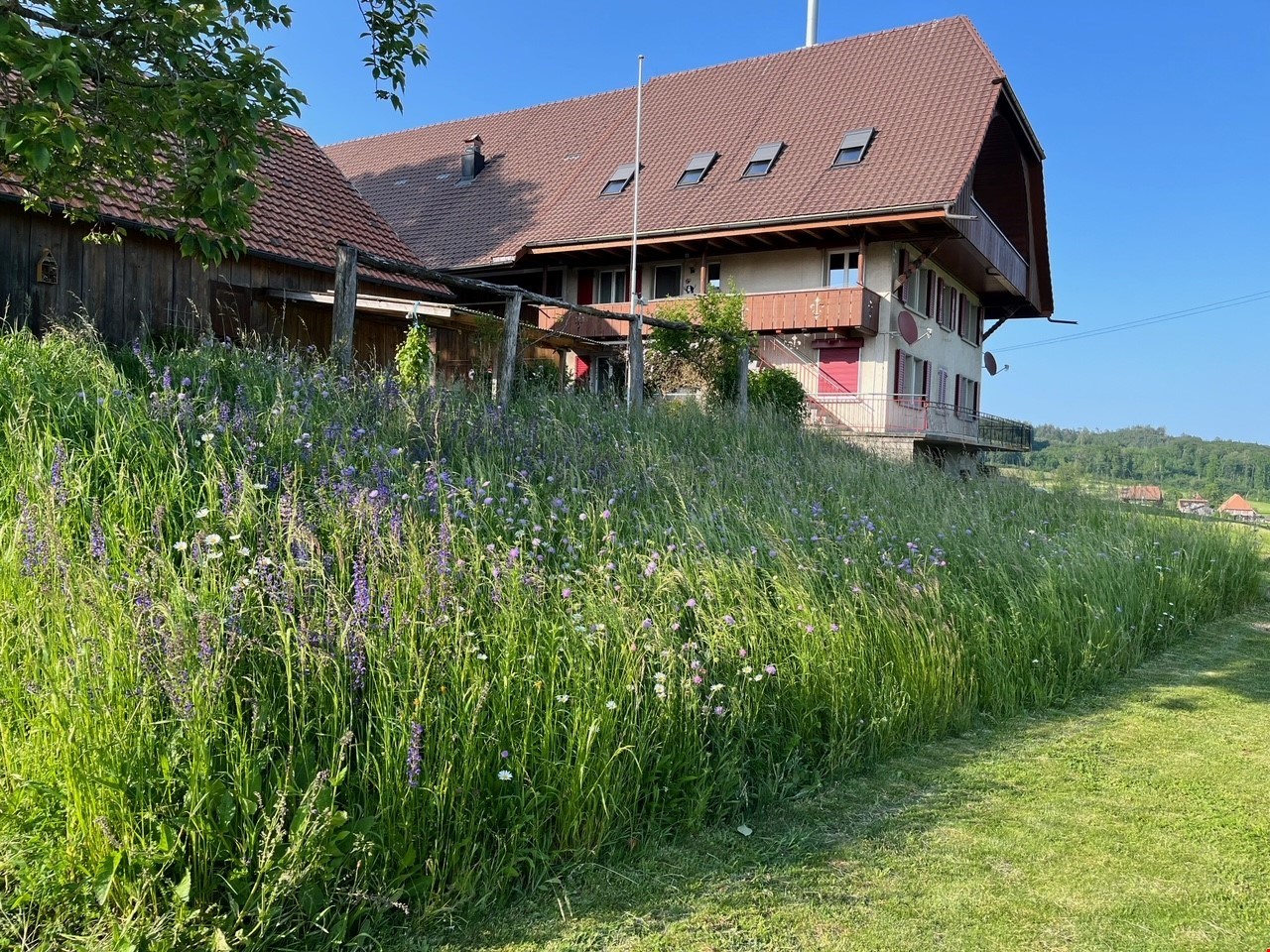 A two story building with a brown roof, wooden exterior walls, glass windows, wooden porch and surrounded by tall grass and trees.