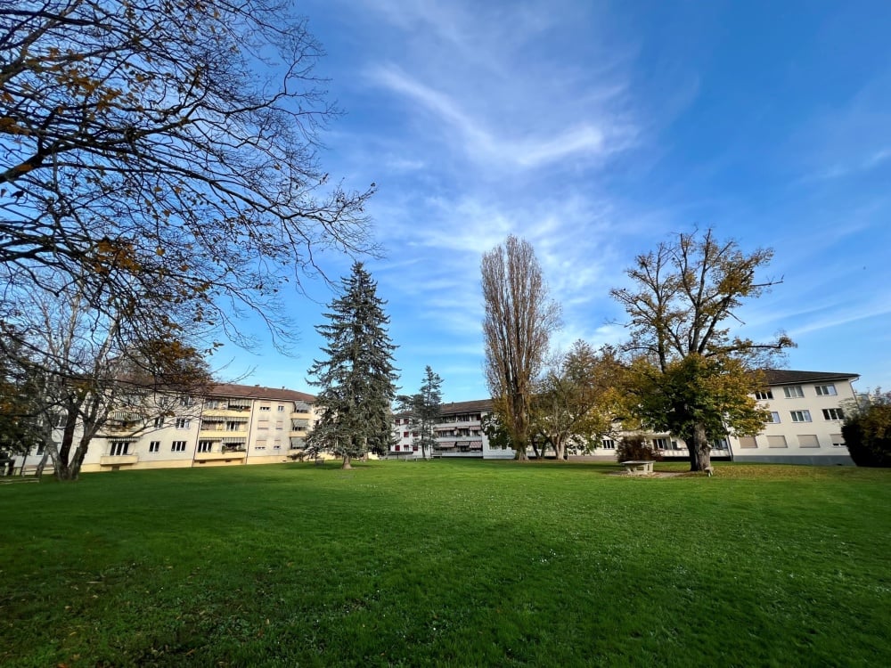 The image shows a residential area with several multi-story apartment buildings surrounded by a large grassy park or lawn. There are trees lining the area, some of which appear to be evergreen trees like fir or pine trees, and others that are deciduous tr