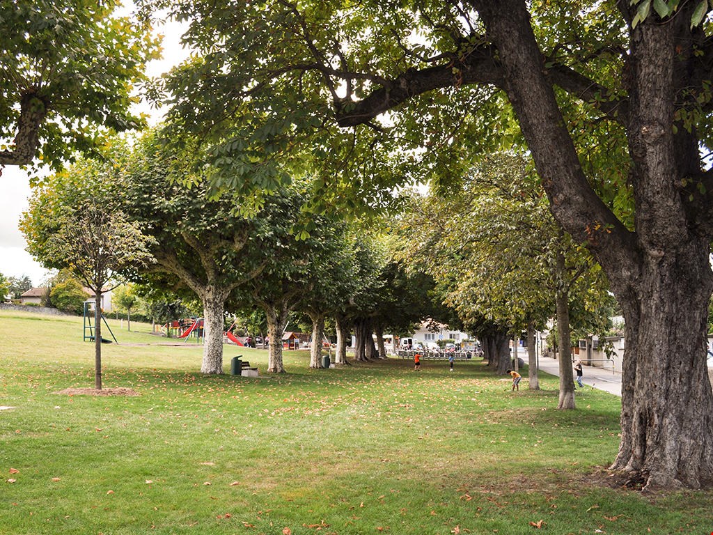 Large grassy area with trees, playground, some people
