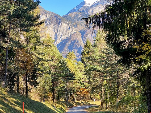 Mountains in the background, trees, greenery, a narrow road