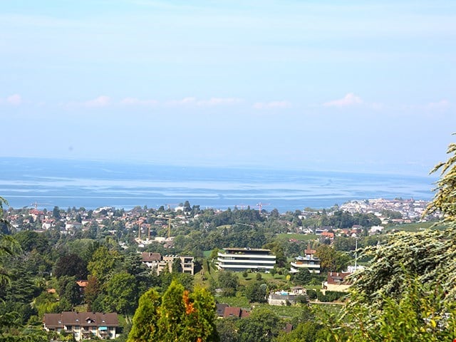 city view, sea view, hills, trees, buildings, ocean
