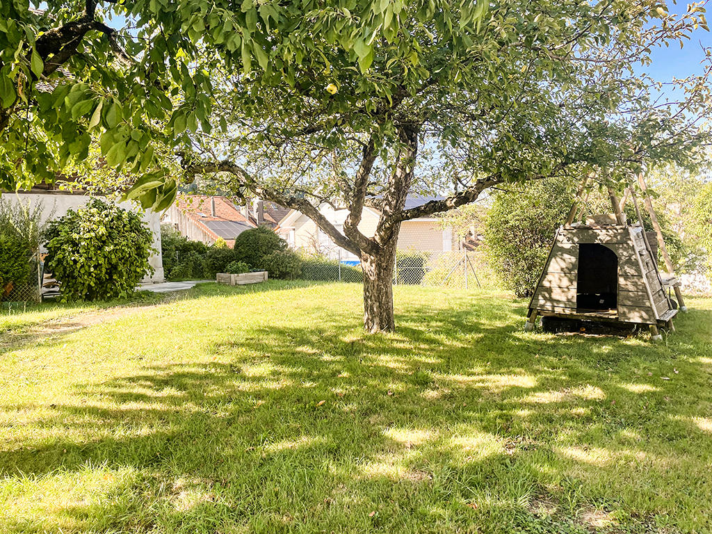 a tree in the middle, green lawn, a house in the background, wooden dog house