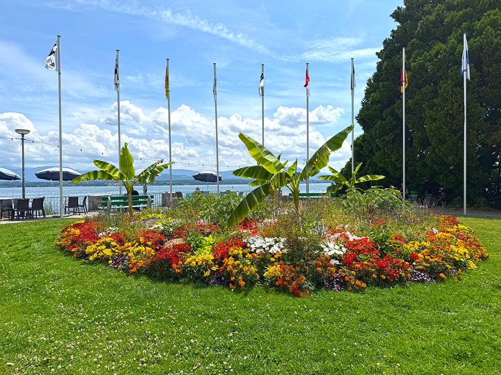 Circular flower bed, various flowers, banana trees, grass, flags, benches, umbrellas, ocean view, mountains