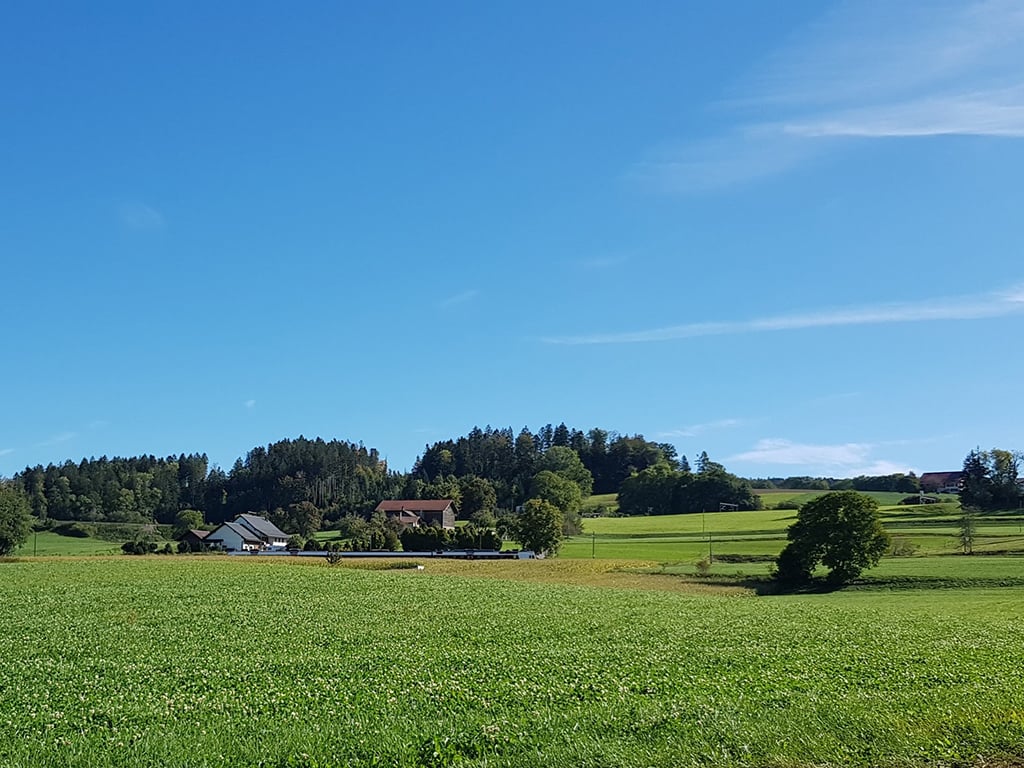 large green field, houses, forest, blue sky