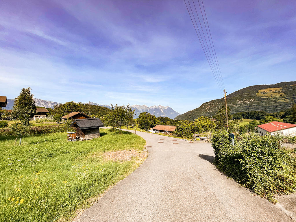 Country road, mountain range in the distance, houses, and trees, wide open field