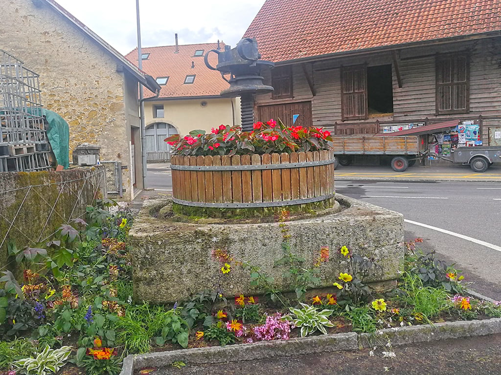 Garden with a well, colorful flowers, mossy stone, buildings on the side, truck parked