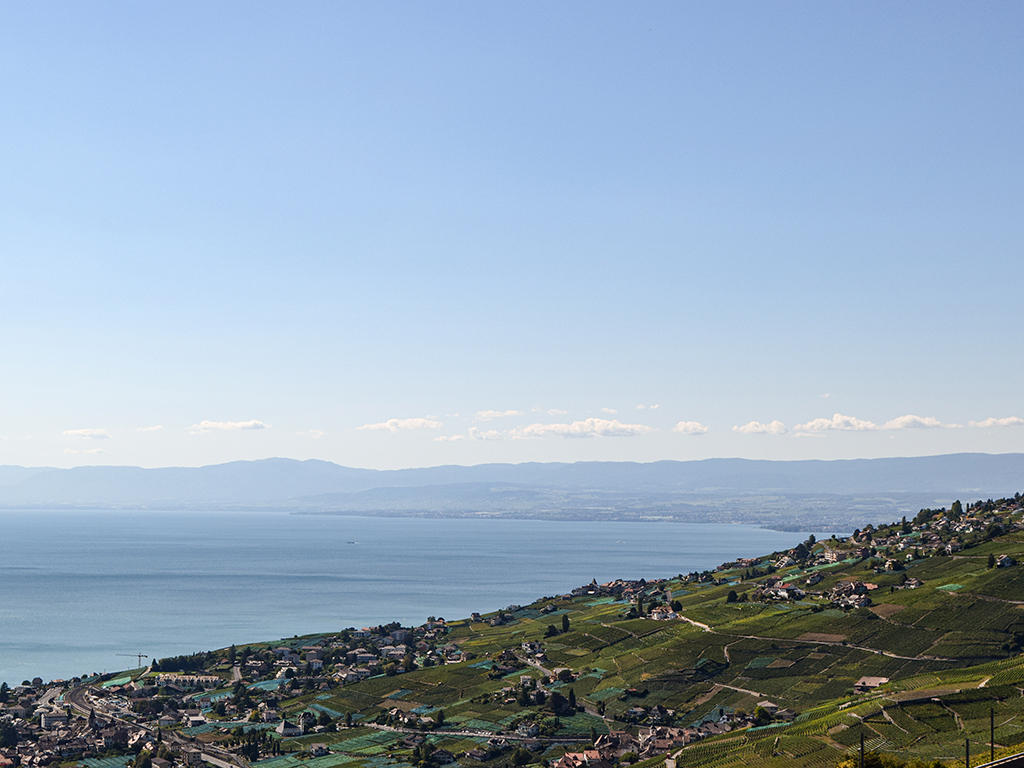 hillside garden with vineyard and town, clear view of the lake, mountains in the background