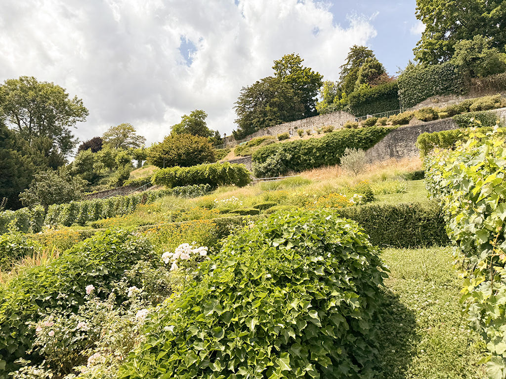 Beautiful outdoor garden with neatly trimmed hedges, a variety of plants and flowers, a hillside, and a sky with passing clouds.