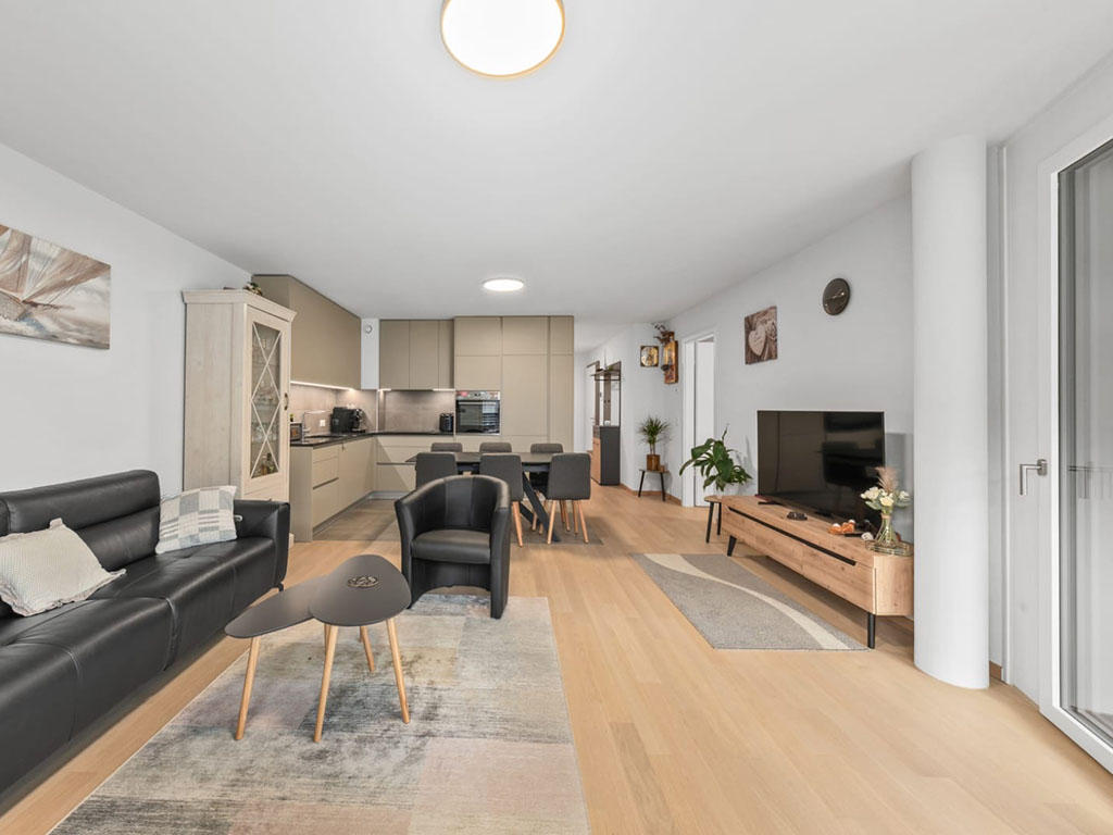 Leather sofa, coffee table, armchair, television, dining table, cabinets, countertops, oven, floor lamp, picture frame, potted plants, rug, sliding glass door