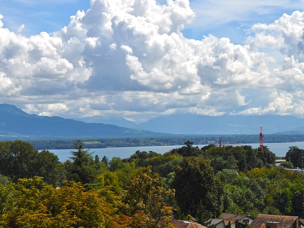 Hill with greenery, lake, mountains, red cranes, village