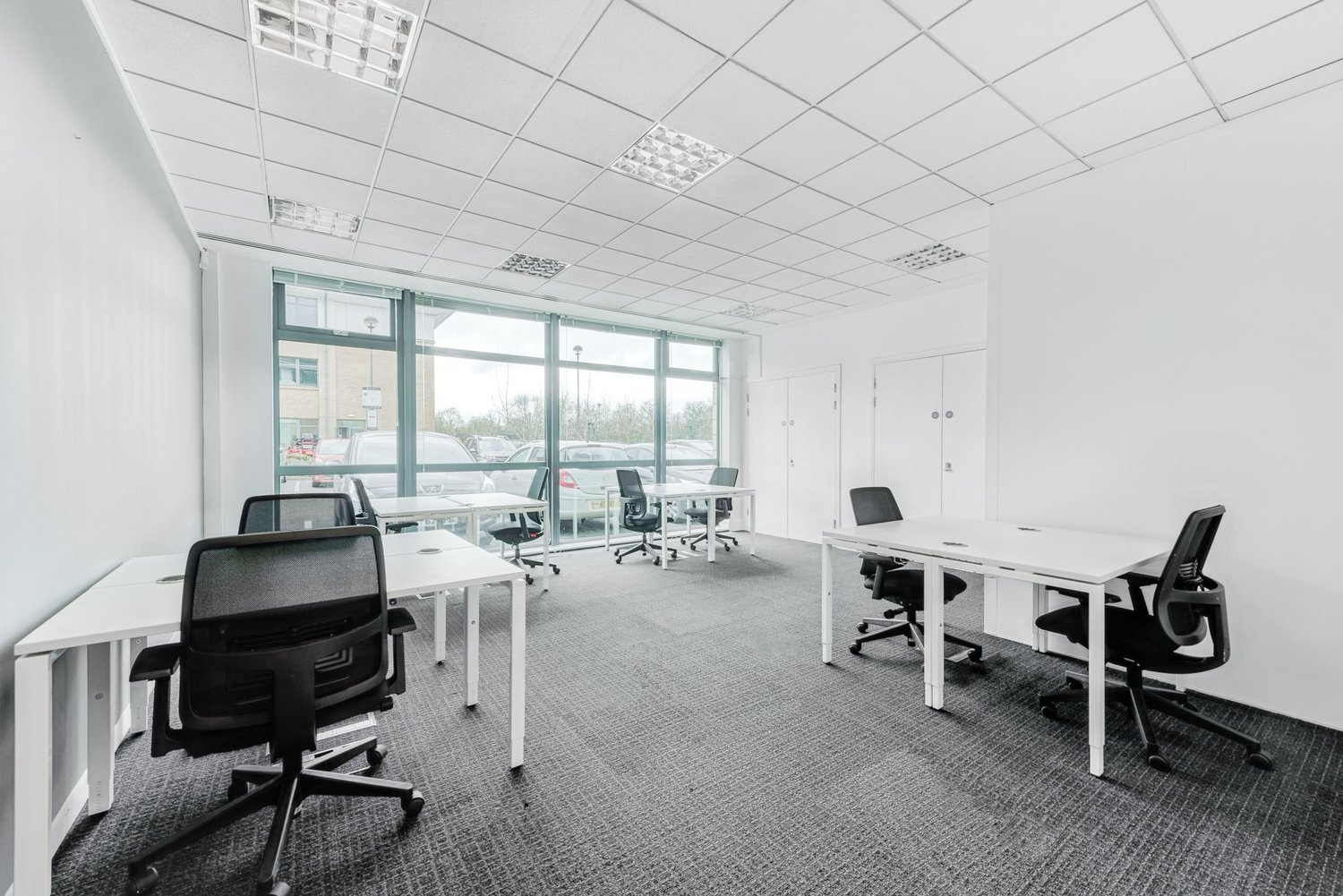 Spacious office with large windows, white walls, suspended ceiling with lighting fixtures, multiple desks and office chairs, carpeted floor