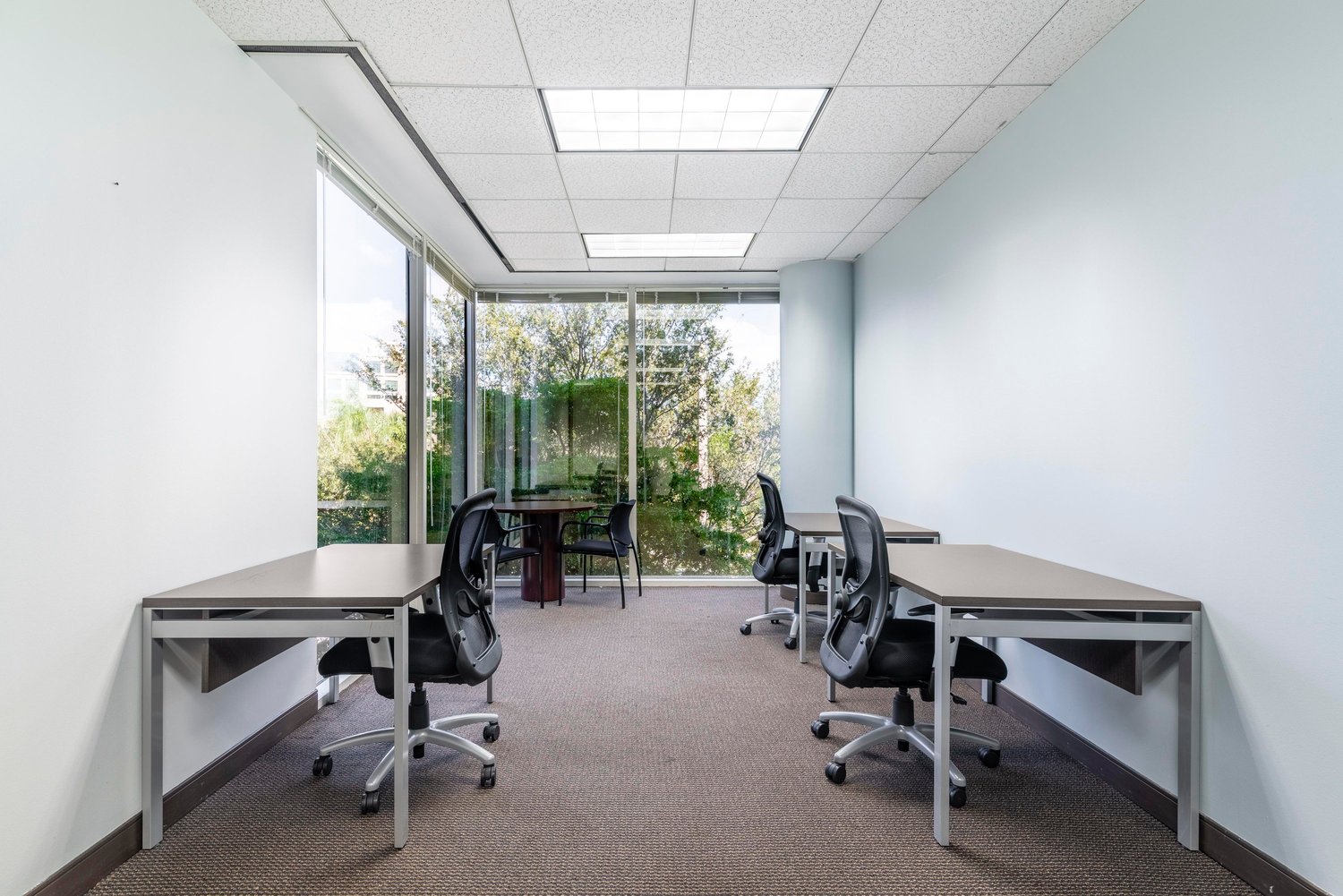 modern office with large windows, brown carpet, 4 desks with adjustable chairs, large table, ceiling lights