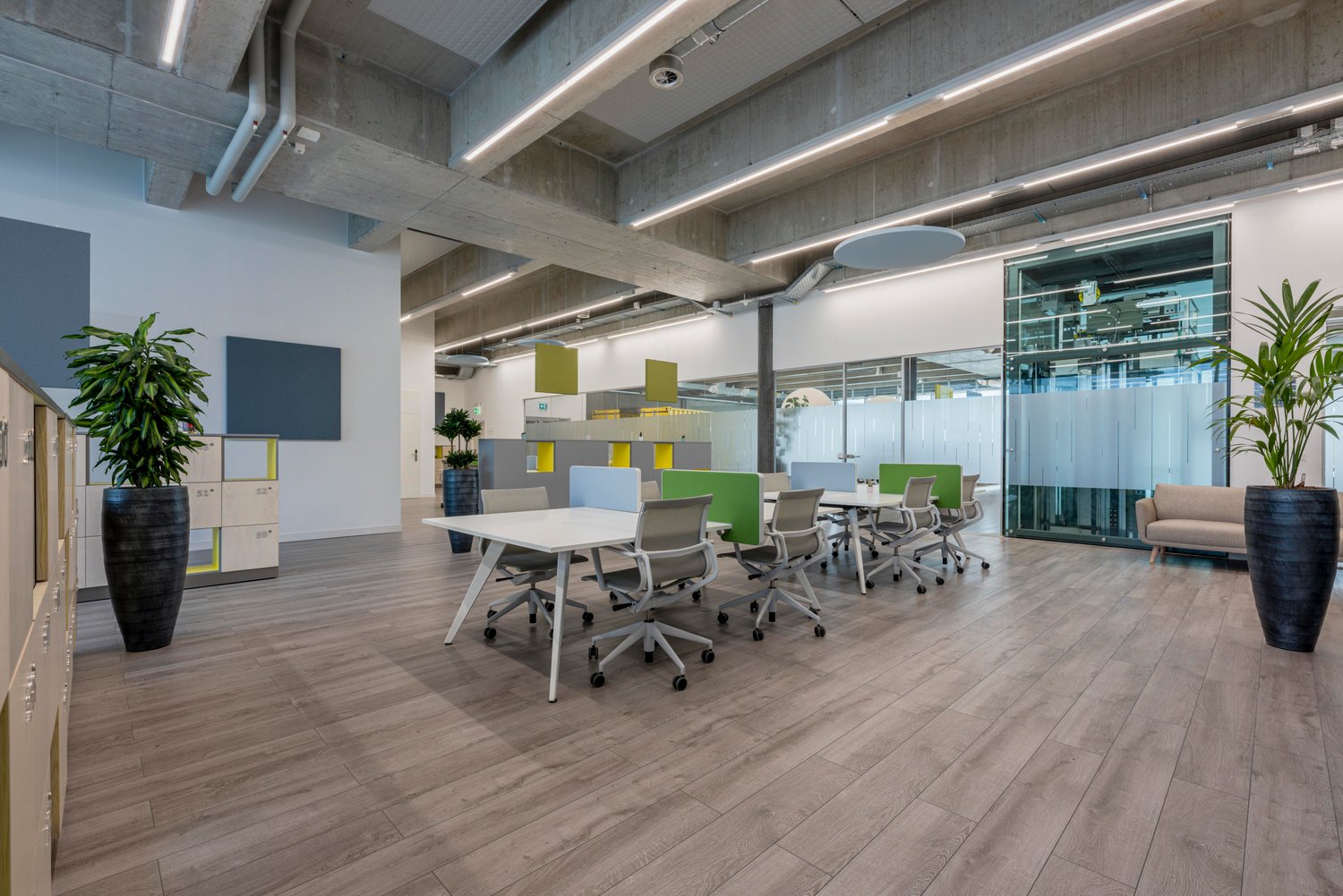 Large room, modern furniture, multiple desks, modern lighting, large potted plants