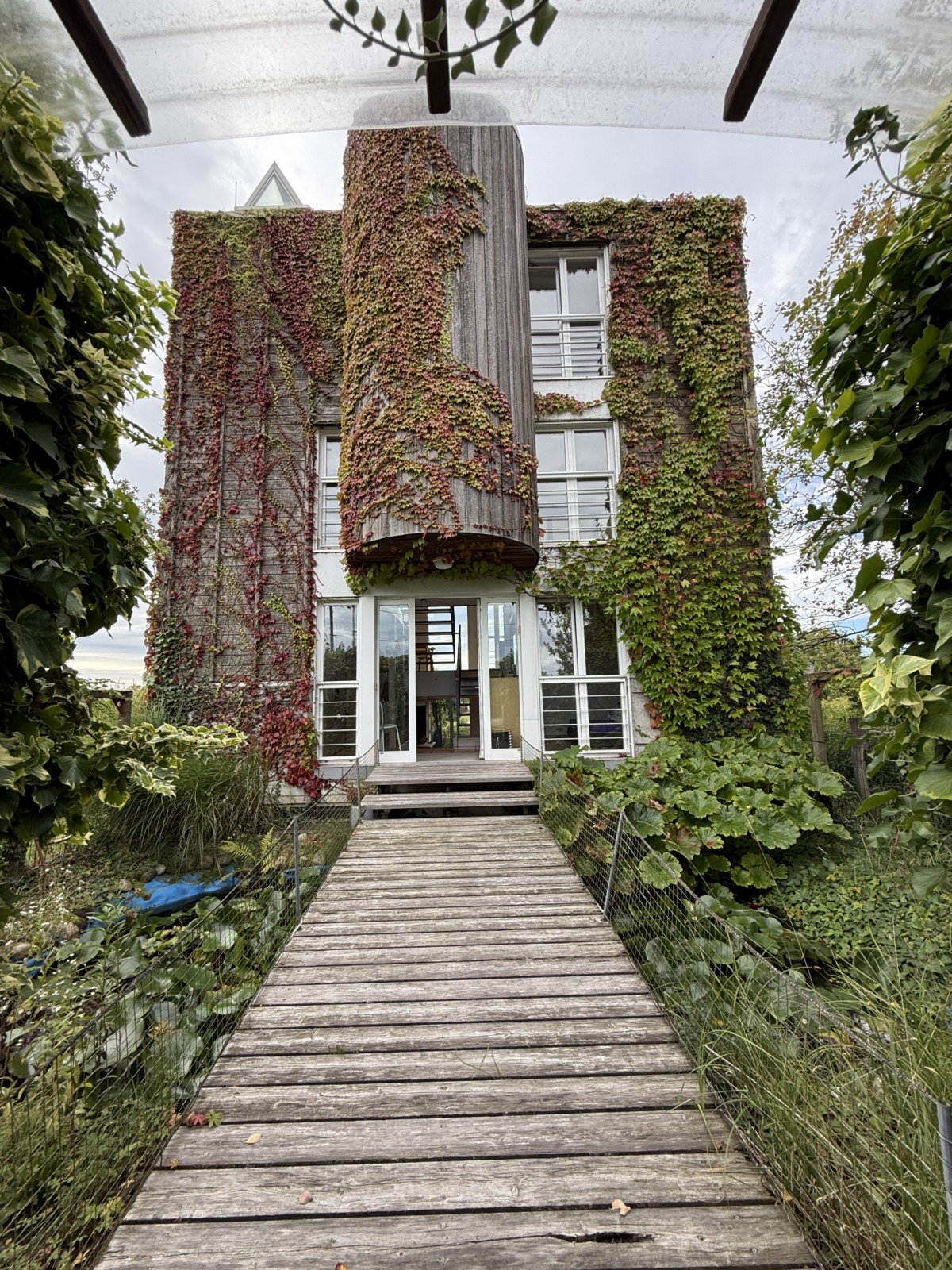 Modern house covered in ivy, wooden pathway, three stories, glass doors and windows