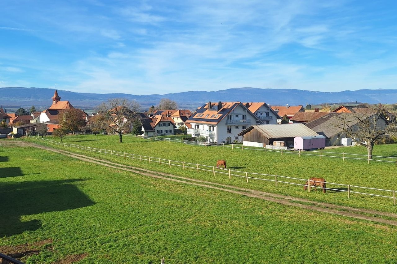 Countryside view with a wide green field, some houses, 2 horses, and a fence.