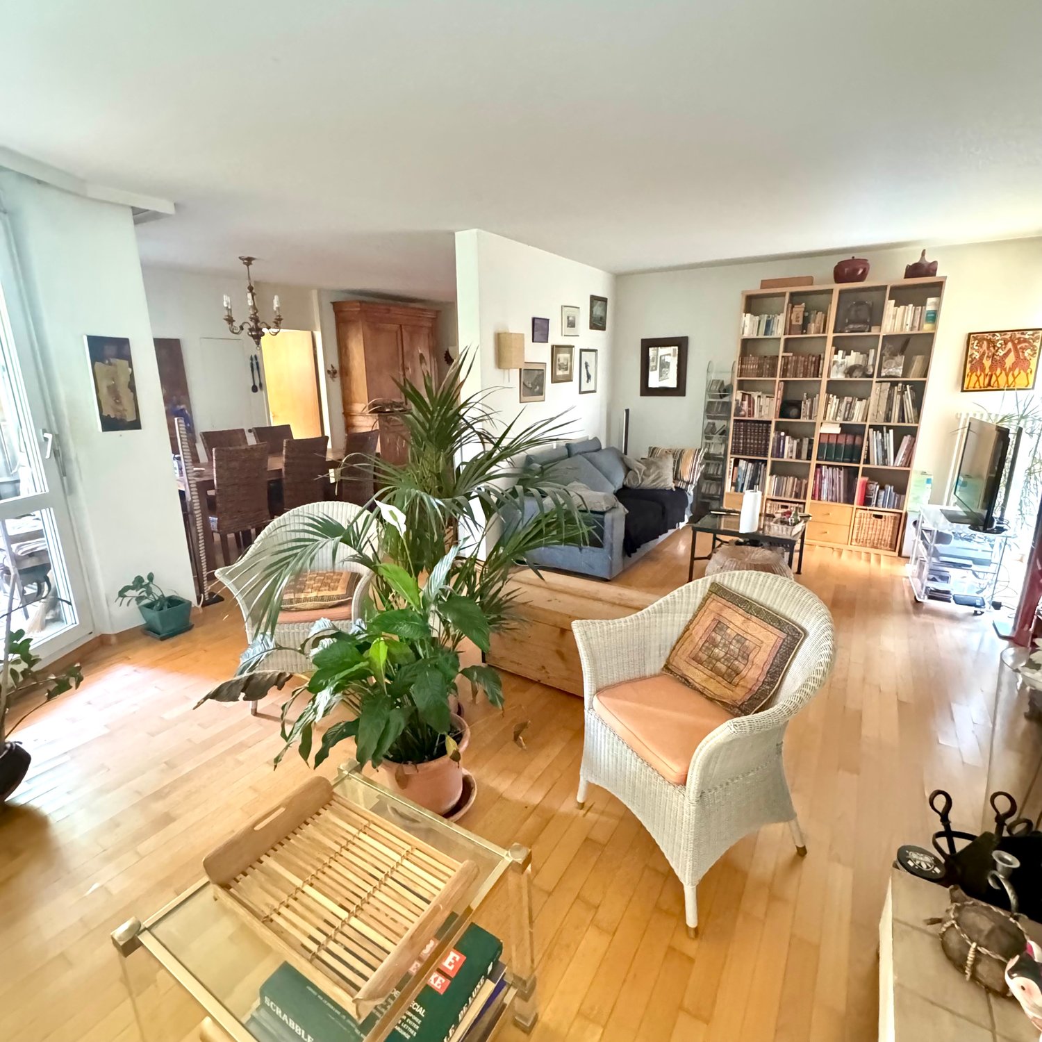 Living room: Wooden floor, couch with pillows, TV, wooden cabinet with books, table with potted plants, wicker chairs, glass coffee table