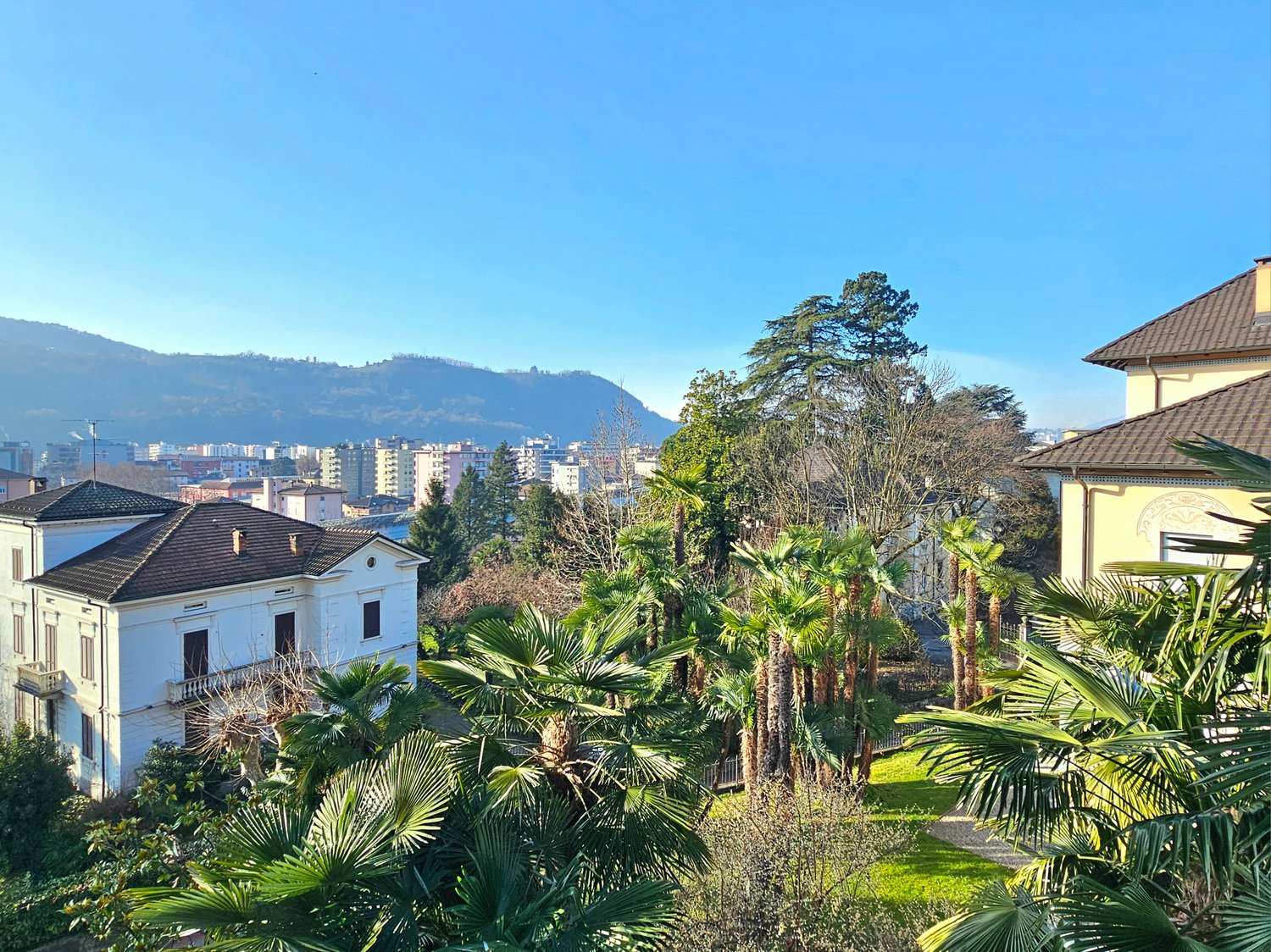 hills, city view, palm trees, greenery, houses, clear sky