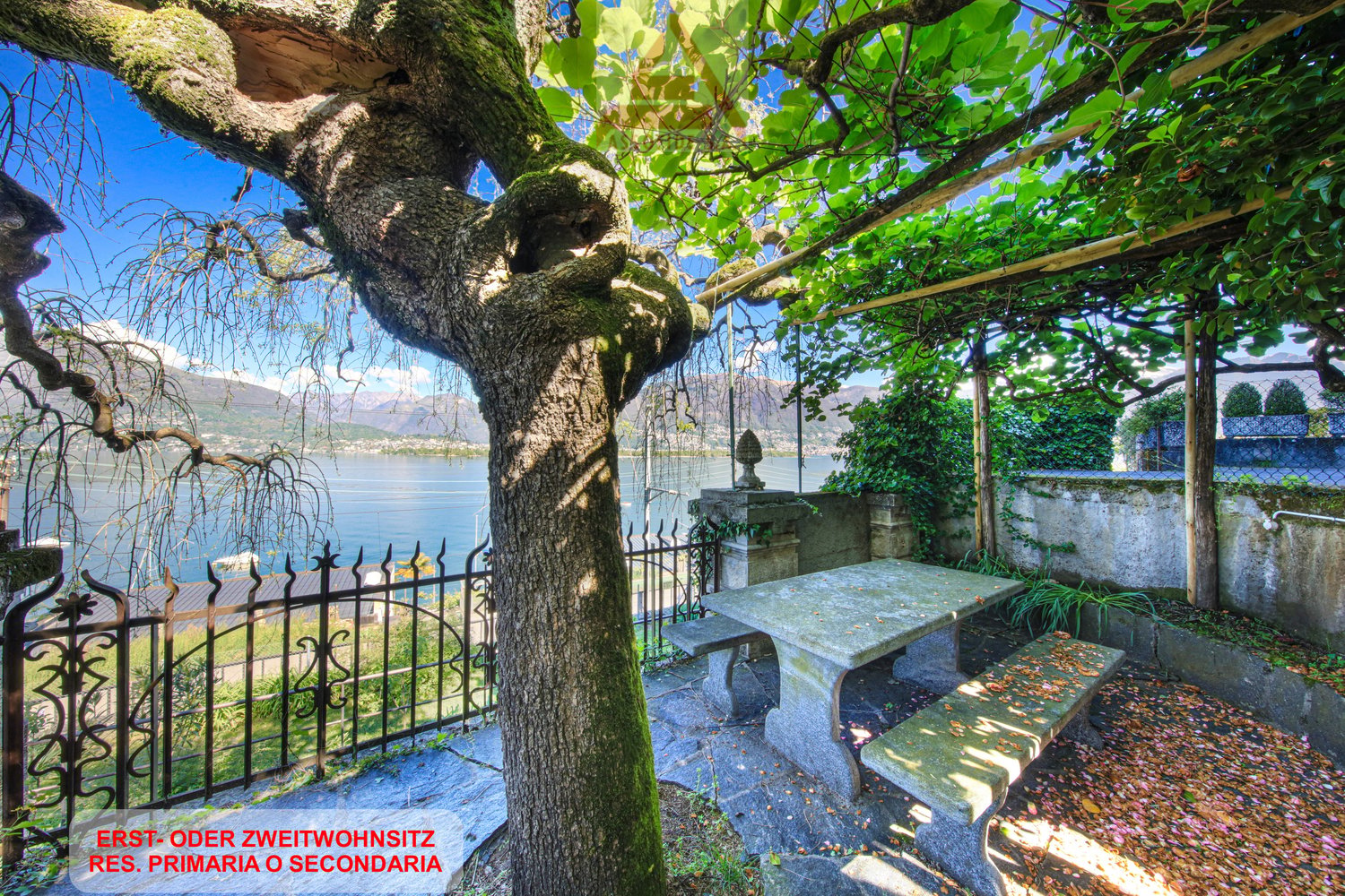 Scenic outdoor seating area with a large tree, stone bench, and wrought iron fence overlooking a lake or body of water with mountains in the background